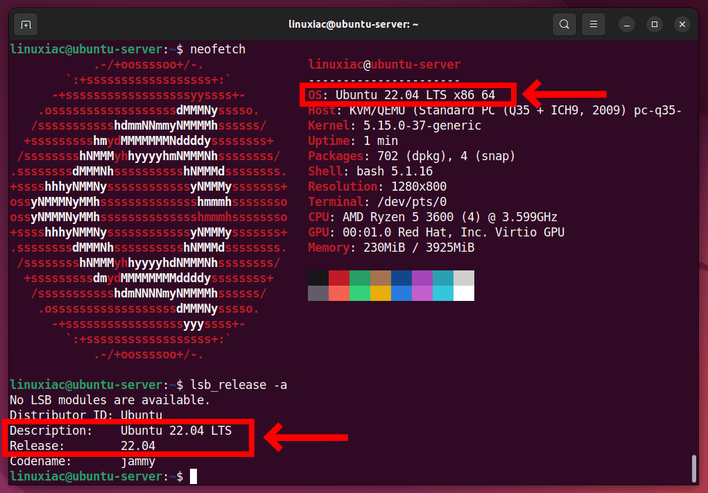How to Install Nginx on Ubuntu 22.04 – Complete Step-by-Step Guide