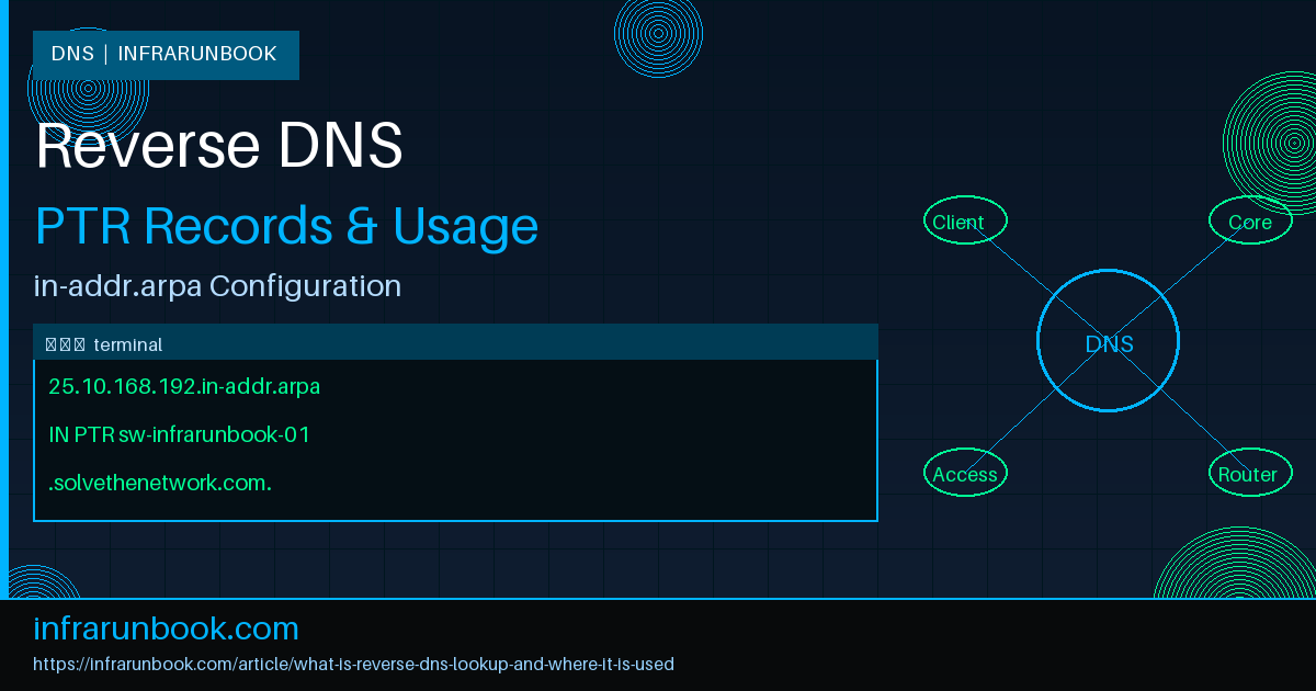 What Is Reverse DNS Lookup and Where It Is Used