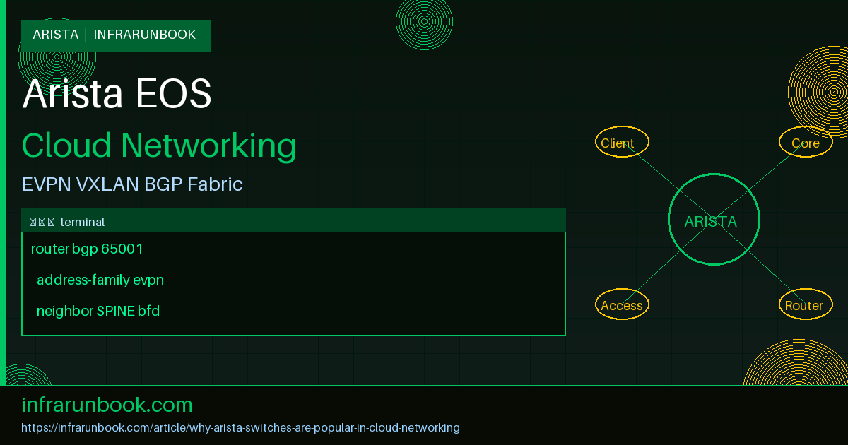Why Arista Switches Are Popular in Cloud Networking